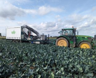 Automated Broccoli Harvester Could Help Farmers