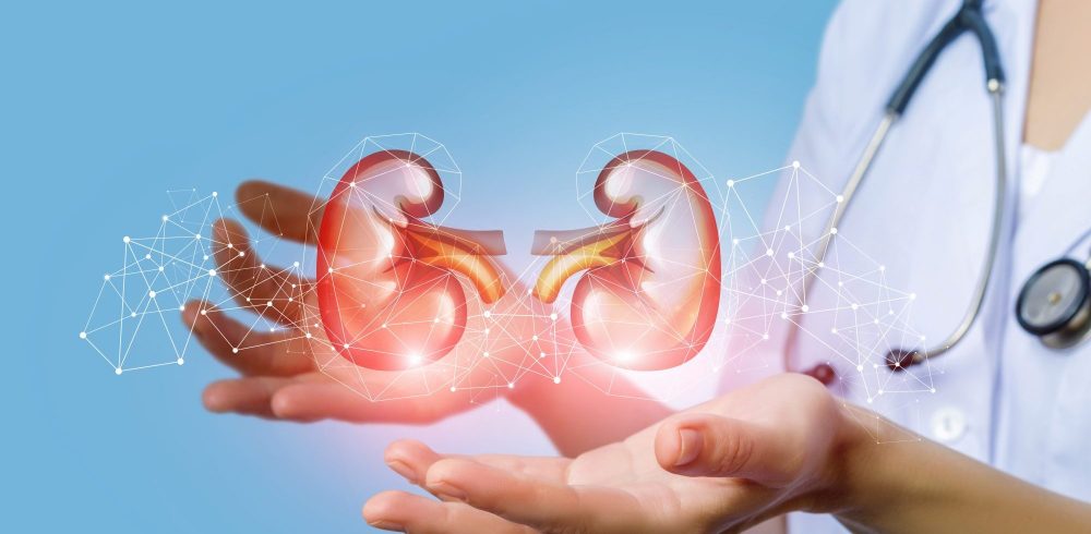 Kidney Research UK Launch MedTech Competition to Fund Research